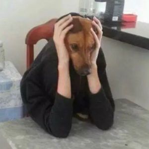 Meet your Posher, Madeleine